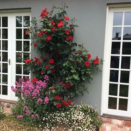 Hollyoak Bed and Breakfast Trentham Exteriör bild